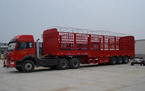 廣州至秀山縣貨運(yùn)物流專線服務(wù) 錦成貨運(yùn)部引領(lǐng)高效運(yùn)輸新標(biāo)桿