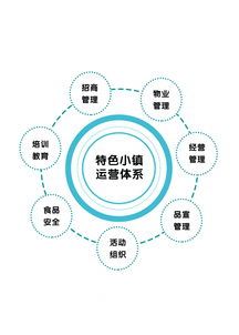 專訪光合文化創意集團董事長趙興朋 特色小鎮是個有機生命體，數字文化創意內容的應用與服務