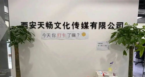 政策服務(wù)雙管齊下，數(shù)字文創(chuàng)賦能未來(lái) 曲江369園區(qū)助力企業(yè)紓困發(fā)展